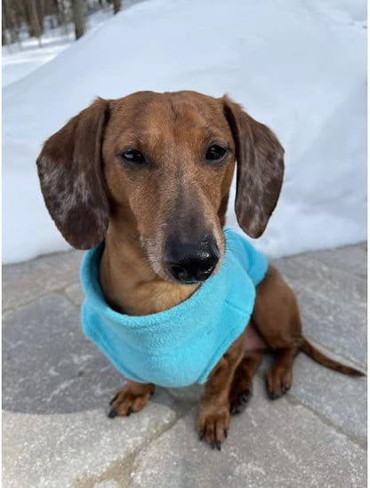 Gooby Zip Up Fleece Dog Sweater - Turquoise, 3X-Large - Warm Pullover Fleece Step-in Dog Jacket with Dual D Ring Leash - Winter Small Dog Sweater - Dog Clothes for Small Dogs Boy and Medium Dogs - PAWPICO