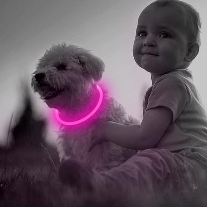 Led Dog Collar, BSEEN USB Rechargeable Flash Dog Necklace Light, Pet Safety Collar Makes Your Beloved Dogs Be Seen at Night for Small Medium Large Dogs(Pink) - PAWPICO
