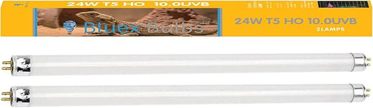 2 Pack 24W-Watt T5 HO Reptile Light Desert UVA UVB 10.0 Fluorescent Tube - 22" Terrarium Hood Light Suitable for Desert Reptile Lizards Bearded Dragons & Promotes Natural Behavior UVB Bulb (22Inch) BluexBulbs