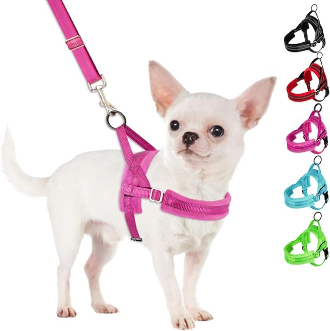 SlowTon No Pull Small Dog Harness and Leash Set, Puppy Soft Vest Harness Neck & Chest Adjustable, Reflective Lightweight Harness & Anti-Twist Pet Lead Combo for Small Medium Dogs (Fuchsia, XS) SlowTon
