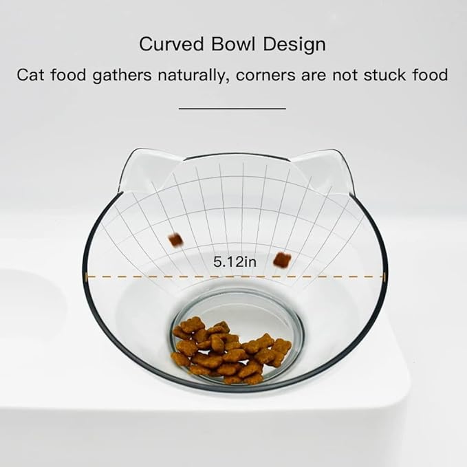 Marchul Tilted Cat Bowl Set for Food and Water, Food Feeding Raised Dishes for Puppies,Black - PAWPICO
