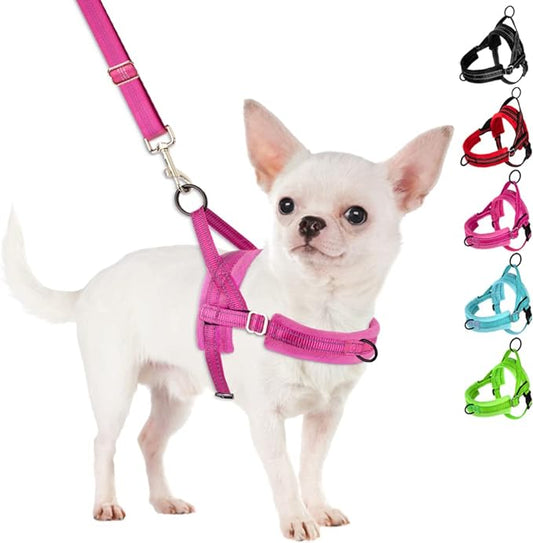 SlowTon No Pull Small Dog Harness and Leash Set, Puppy Soft Vest Harness Neck & Chest Adjustable, Reflective Lightweight Harness & Anti-Twist Pet Lead Combo for Small Medium Dogs (FU-Front Clip, S) SlowTon