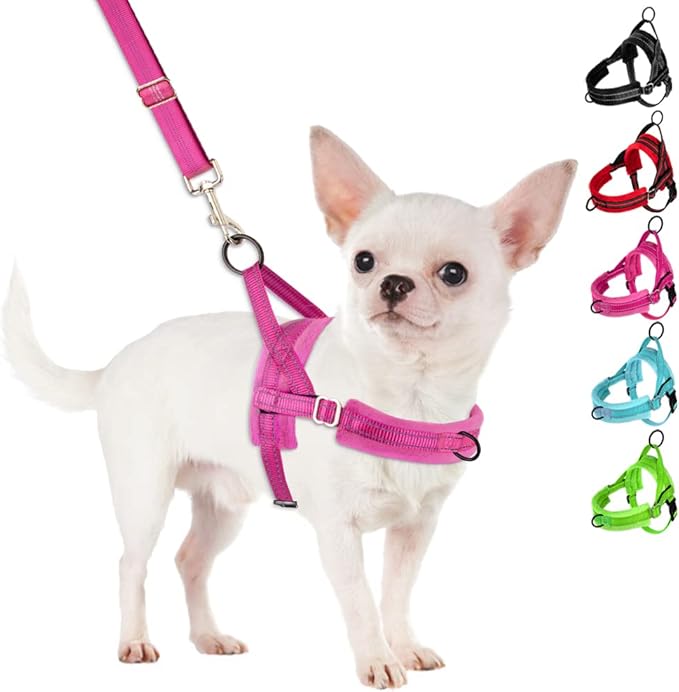 SlowTon No Pull Small Dog Harness and Leash Set, Puppy Soft Vest Harness Neck & Chest Adjustable, Reflective Lightweight Harness & Anti-Twist Pet Lead Combo for Small Medium Dogs (FU-Front Clip, XXS) SlowTon