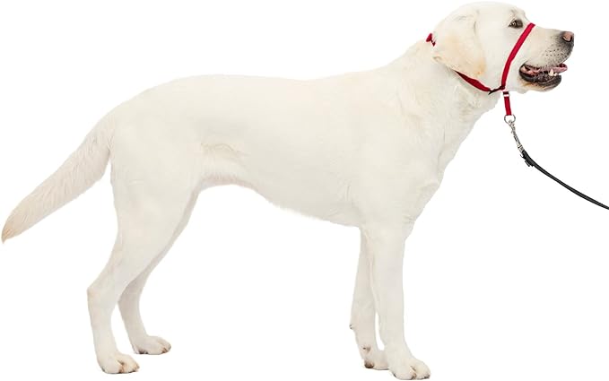 PetSafe Gentle Leader No-Pull Dog Headcollar - The Ultimate Solution to Pulling - Redirects Your Dog's Pulling for Easier Walks - Helps You Regain Control - Large, Red PetSafe