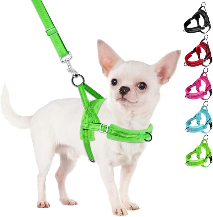 SlowTon No Pull Small Dog Harness and Leash Set, Puppy Soft Vest Harness Neck & Chest Adjustable, Reflective Lightweight Harness & Anti-Twist Pet Lead Combo for Small Medium Dogs (Green-Front Clip,XS) SlowTon