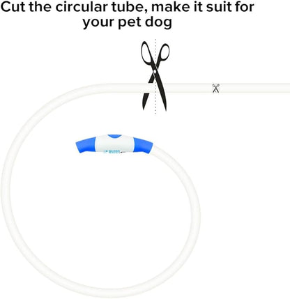 Light up Dog Collar, BSEEN USB Rechargeable Flash Dog Necklace Light, Pet Safety Collar Makes Your Beloved Dogs Be Seen at Night for Small Medium Large Dogs(Blue) - PAWPICO