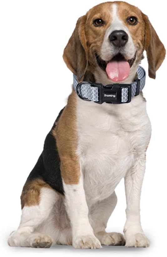 Ihoming Dog Collar and Leash Set for Daily Outdoor Walking Running Training, Moroccan Grey Design for Large Boys Girls Dogs Cats Pets, L-Up to 80LBS Ihoming