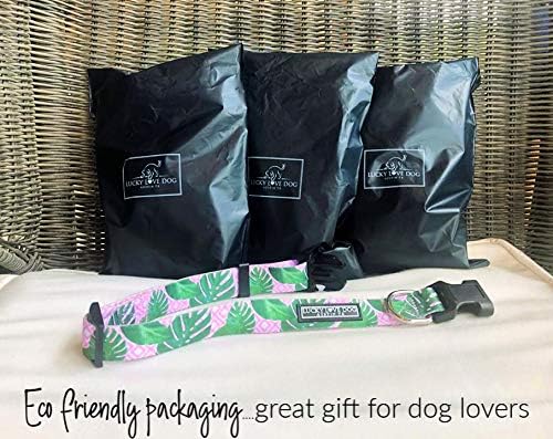 Lucky Love Dog, Tropical Dog Collar for Female Male Dogs, Comfortable & Soft, Vivid Pink Dog Collar - (Large, Laguna Collar) LuckyLoveDog