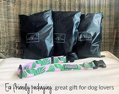 Lucky Love Dog, Tropical Dog Collar for Female Male Dogs, Comfortable & Soft, Vivid Pink Dog Collar - (Large, Laguna Collar) LuckyLoveDog