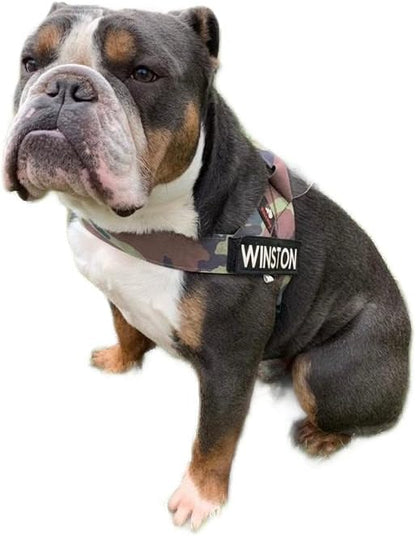 BULLHUG Harness – Made for Larger Chested Dogs Like English Bulldogs, French Bulldogs, Pugs & More. Stops Dogs from Pulling & Choking on Walks (Army, XL) BULLHUG