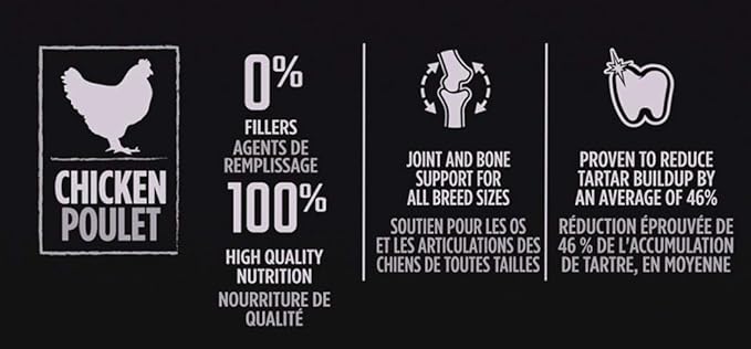 Eukanuba Adult Medium Breed Dry Dog Food, 16 lb - PAWPICO