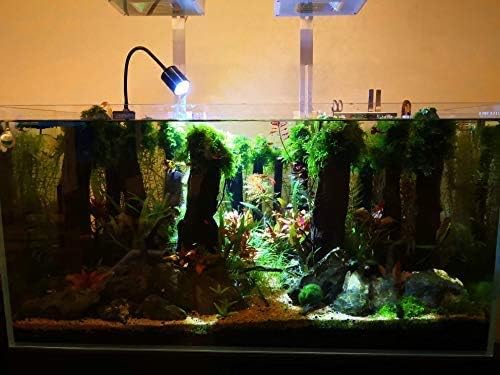 LED Aquarium Light - Freshwater Fish Tank Light Vivarium Terrarium Spotlight 3 Colors 3000K 4000K 6000K Cool Warm White for Planted Fish Tank (3 Colors) NILIPAL