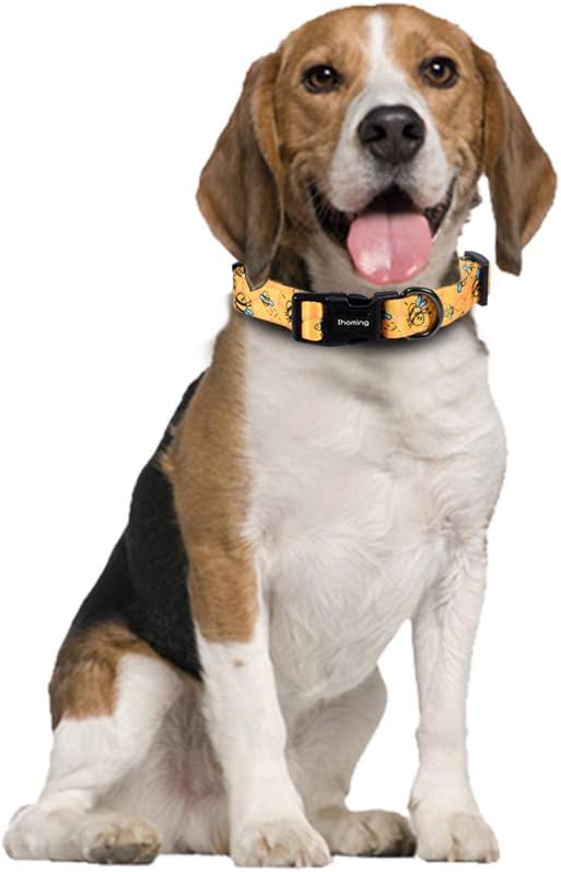 Ihoming Dog Collar and Leash Set for Daily Outdoor Walking Running Training, Bee Design for Small Boys Girls Dogs Cats Pets, S-Up to 20LBS Ihoming