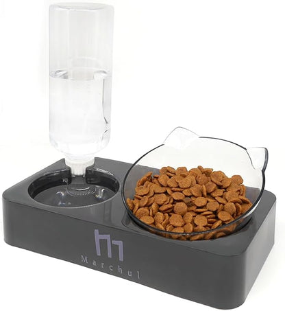 Marchul Tilted Cat Bowl Set for Food and Water, Food Feeding Raised Dishes for Puppies,Black - PAWPICO