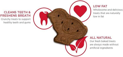 Blue Dog Bakery Natural Dog Treats, More Crunch Large, Peanut Butter, 18oz Box, 6 Boxes - PAWPICO