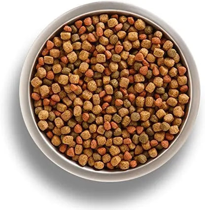 Nutrish Rachael Ray Premium Natural Dry Dog Food with Added Vitamins, Minerals & Taurine, Real Beef, Pea, & Brown Rice Recipe, 6 Pounds (Packaging May Vary) - PAWPICO