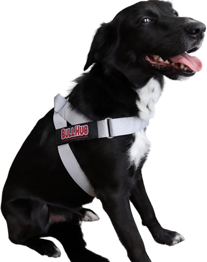 BULLHUG Harness – Made for Larger Chested Dogs Like English Bulldogs, French Bulldogs, Pugs & More. Stops Dogs from Pulling & Choking on Walks (Silver, Medium) BULLHUG