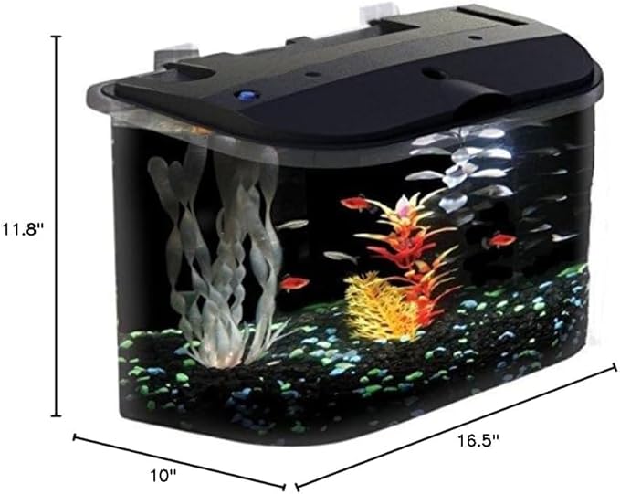 Koller Products 5-Gallon Aquarium Kit with LED Lighting and Power Filter, Ideal for a Variety of Tropical Fish DISCOVERTHEEXCITINGWORLDOFKEEPINGTROPICALFISH