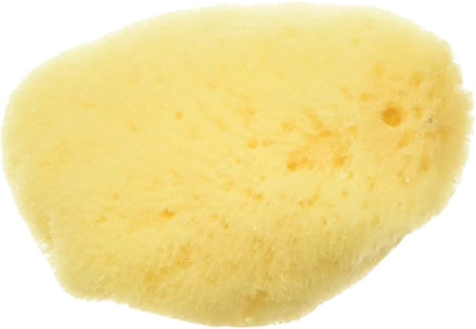 Zoo Med All Natural Hermit Crab Sea Sponge ZooMed