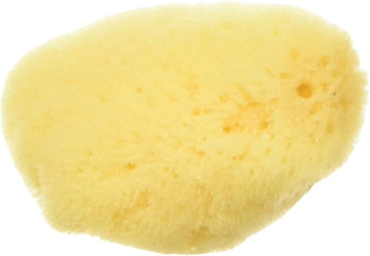 Zoo Med All Natural Hermit Crab Sea Sponge ZooMed