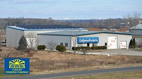 CAT DANCER Products Jungle Cat Charmer, Jungle Wand Toy for Kittens Training, Colorful Ribbon Cat Charmer, Interactive Catcher Wand for Cat Exercise (1 Pack, Multicolor) - PAWPICO