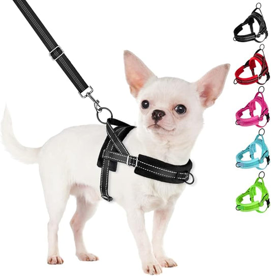SlowTon No Pull Small Dog Harness and Leash Set, Puppy Soft Vest Harness Neck & Chest Adjustable, Reflective Lightweight Harness & Anti-Twist Pet Lead Combo for Small Medium Dogs (B-Front Clip,XXS) SlowTon