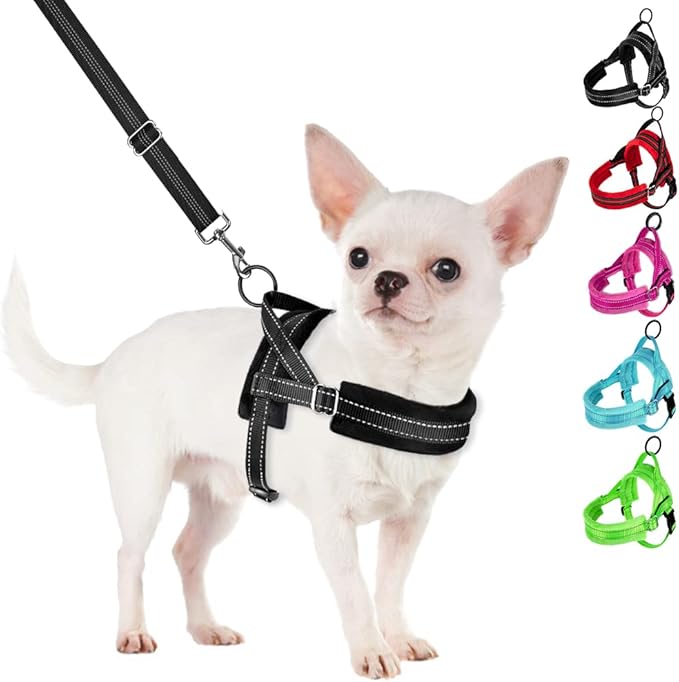 SlowTon No Pull Small Dog Harness and Leash Set, Puppy Soft Vest Harness Neck & Chest Adjustable, Reflective Lightweight Harness & Anti-Twist Pet Lead Combo for Small Medium Dogs (Black, XXS) SlowTon