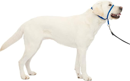 PetSafe Gentle Leader No-Pull Dog Headcollar - The Ultimate Solution to Pulling - Redirects Your Dog's Pulling for Easier Walks - Helps You Regain Control - Large, Royal Blue PetSafe