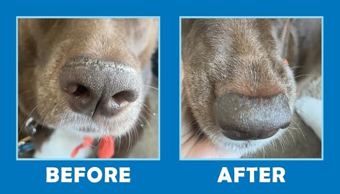 Squishface Nose Balm - Soothe & Protect Dry, Cracked Dog Snouts - Plant-Based, Lick-Safe Formulation to Aid in Relief of Hyperkeratosis - Great for All Breeds! (1.75 oz) Squishface