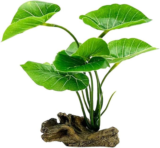Smoothedo-Pets Fish Tank Decor Aquarium Decorations Ornaments Betta Leaf pad Hammock 6inch Plastic Artificial Plant Goldfish Fish Hides Small Tank/Reptiles Plants Driftwood (Green-Type-A) EnvironmentFriendlyArtificialPlasticPlantAquariumDecoration