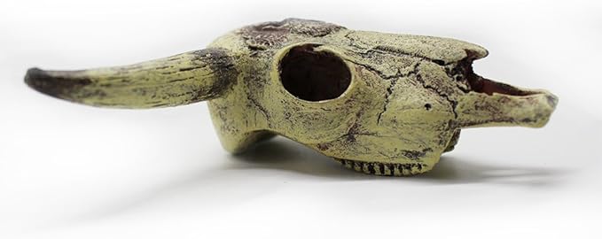 Leoyoubei Aquarium Decoration, Fish Tank Small Skull,Fish Turtle Hidden, Bonsai beautification. Cave Landscape Pet Reptile House Shrimps & Snails Love Them (Cattle Skull) Leoyoubei