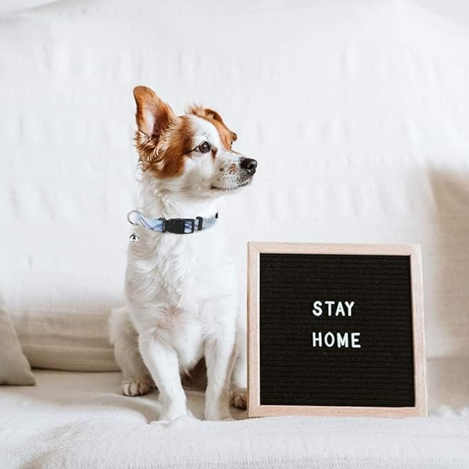 PUPTECK Adjustable Dog Harness Collar and Leash Set Step in No Pull Pet Harness for Small Medium Dogs Puppy and Cats Outdoor Walking Running, Soft Mesh Padded Reflective Vest Harnesses, Blue XL PUPTECK