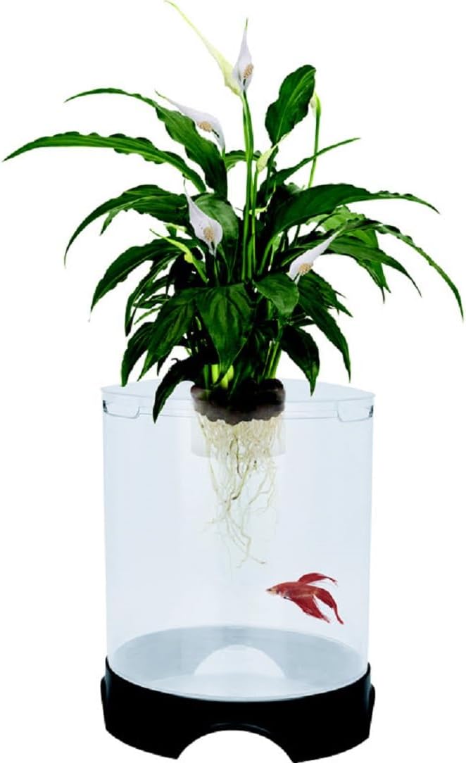 Penn-Plax Aquaponic Planter and Aquarium for Betta Fish | Tank Promotes Healthy Hydroponic Environment for Plants and Fish Penn-Plax