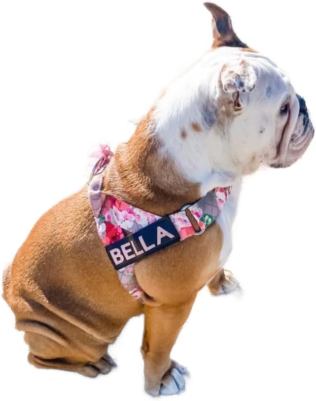 BULLHUG Harness – Made for Larger Chested Dogs Like English Bulldogs, French Bulldogs, Pugs & More. Stops Dogs from Pulling & Choking on Walks (Pink Floral, Medium) BULLHUG