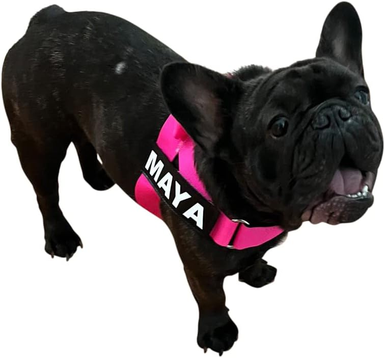 BULLHUG Harness – Made for Larger Chested Dogs Like English Bulldogs, French Bulldogs, Pugs & More. Stops Dogs from Pulling & Choking on Walks (NEON Pink, XL) BULLHUG