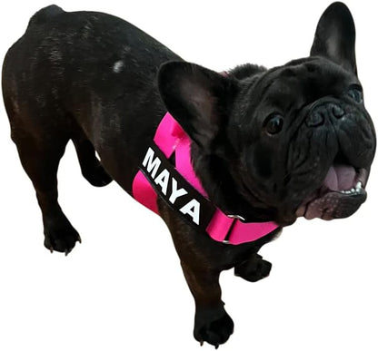 BULLHUG Harness – Made for Larger Chested Dogs Like English Bulldogs, French Bulldogs, Pugs & More. Stops Dogs from Pulling & Choking on Walks (NEON Pink, XL) BULLHUG