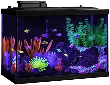 GloFish 20 Gallon Aquarium Kit with LED Lights, Decor Heater and Filter GloFish
