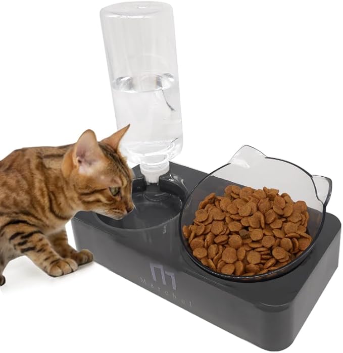 Marchul Tilted Cat Bowl Set for Food and Water, Food Feeding Raised Dishes for Puppies,Black - PAWPICO