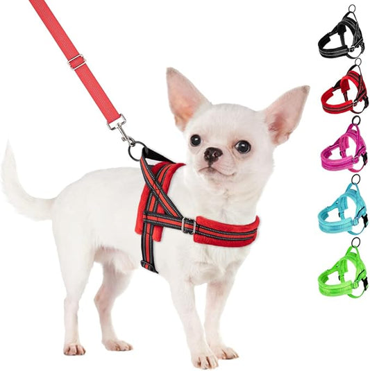 SlowTon No Pull Small Dog Harness and Leash Set, Puppy Soft Vest Harness Neck & Chest Adjustable, Reflective Lightweight Harness & Anti-Twist Pet Lead Combo for Small Medium Dogs (Red, XS) SlowTon