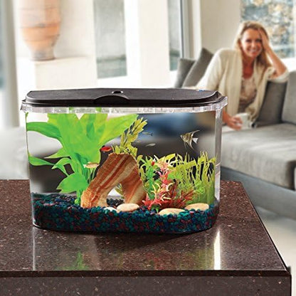 Koller Products 5-Gallon Aquarium Kit with LED Lighting and Power Filter, Ideal for a Variety of Tropical Fish DISCOVERTHEEXCITINGWORLDOFKEEPINGTROPICALFISH