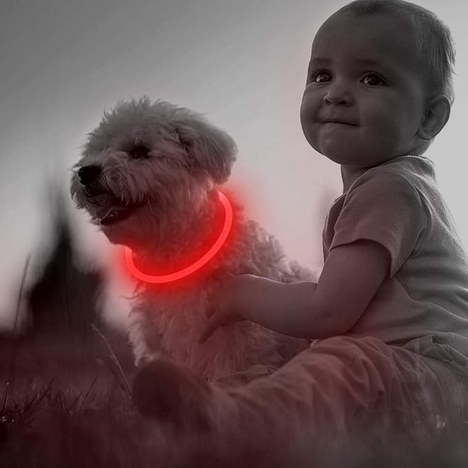 Led Dog Collar, BSEEN USB Rechargeable Flash Dog Necklace Light, Pet Safety Collar Makes Your Beloved Dogs Be Seen at Night for Small Medium Large Dogs(Red) - PAWPICO