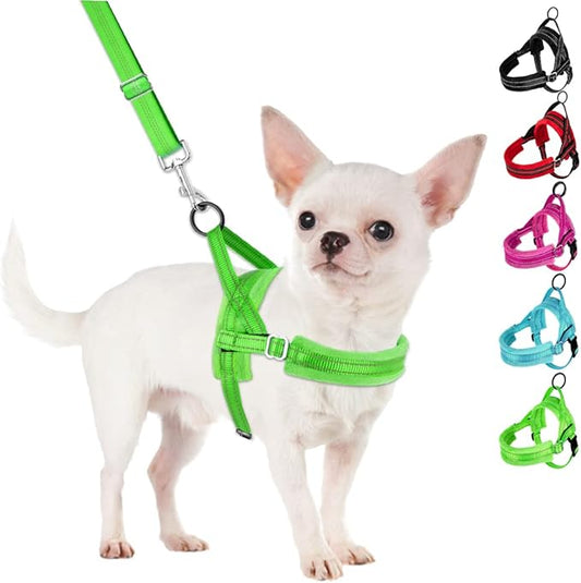 SlowTon No Pull Small Dog Harness and Leash Set, Puppy Soft Vest Harness Neck & Chest Adjustable, Reflective Lightweight Harness & Anti-Twist Pet Lead Combo for Small Medium Dogs(G,XXS) SlowTon