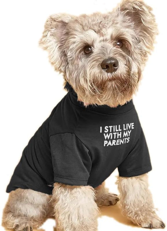 Cute Dog Clothes,Dog T Shirt for Medium Dogs.Dog Clothes for Small Dogs Girl Boy,Puppy.Breathable Soft Dog Costume for Pet Dogs Cats,Pet Pullover Jumper,Cat Clothes-L(10~17lb) Chest~18",Black,Parents - PAWPICO