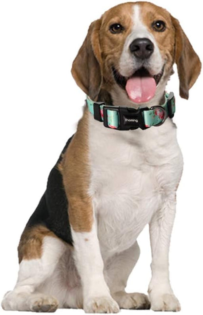 Ihoming Dog Collar and Leash Set for Daily Outdoor Walking Running Training, Floral Spring Design for Medium Boys Girls Dogs Cats Pets, M-Up to 45LBS Ihoming