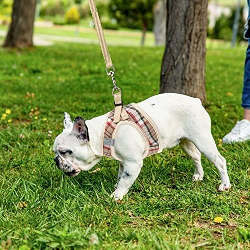 PUPTECK Adjustable Dog Harness Collar and Leash Set Step in No Pull Pet Harness for Small Medium Dogs Puppy and Cats Outdoor Walking Running, Soft Mesh Padded Reflective Vest Harnesses, Khaki M PUPTECK