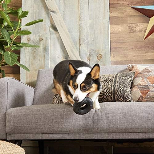 Barkbox Super Chewer Tough Dog Chew Toys for Aggressive Chewers, Dental Stimulating (Radius - Large) - PAWPICO