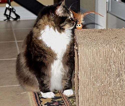 5 Pack Interactive Bouncy Ball with Natural Feathers for Indoor Cats and Kittens who Love to Play and Have Fun. - PAWPICO