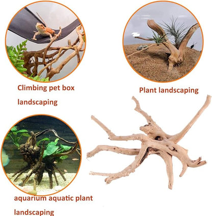 Aquarium Driftwood Natural Spiderwood for Aquarium Decor 4PCS 6-8inch Driftwood Branches for Fish Tank Decorations CENIBBLE
