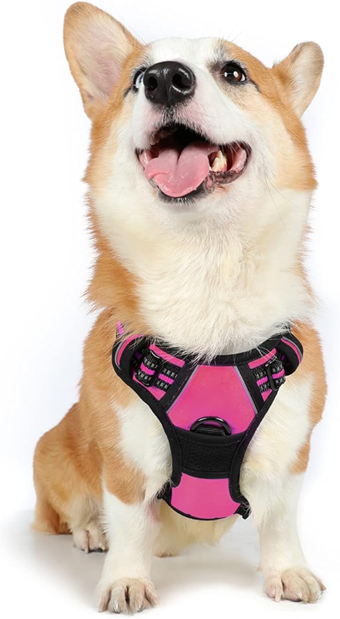 rabbitgoo Dog Harness, No-Pull Pet Harness with 2 Leash Clips, Adjustable Soft Padded Dog Vest, Reflective No-Choke Pet Oxford Vest with Easy Control Handle for Medium Dogs, Hot Pink, M - PAWPICO