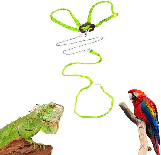 Lizard Leash Bearded Dragon Harness Adjustable Reptile Lizard Harness Leash Parrot Harness Turtle Lizard, Suitable for Gecko Hamster Kitten Small Animal Outdoor Walking,Green Sawyd